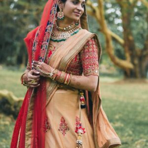 Bridal Wedding Saree
