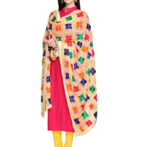 Punjabi Phulkari Embroidery Chiffon