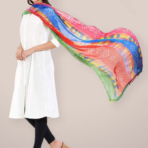 Multicoloured Printed Chiffon Dupatta