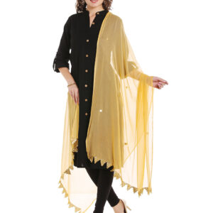 Dupatta Bazaar Women's Beige Chiffon Dupatta with Mirror work.