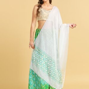 Organza Dupatta with Self Deisgned Sheer Border