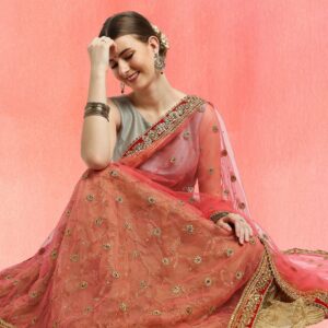 Gajari Bridal & Wedding Wear Net Dupatta
