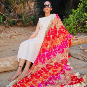 Multicoloured Embellished Phulkari Chiffon Dupatta
